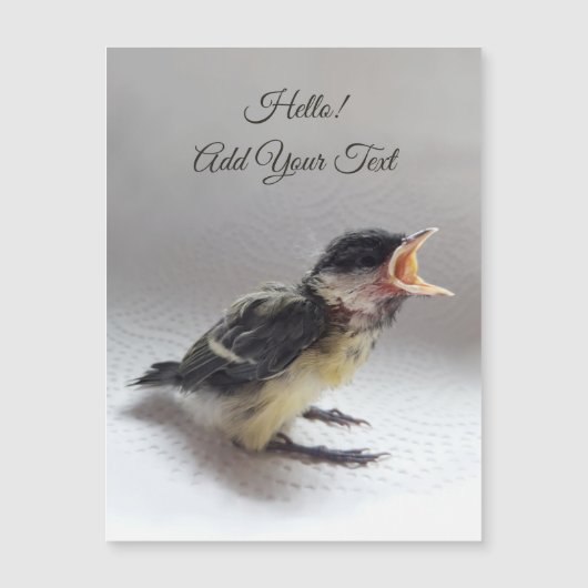 Tidi mijn vogel de Parus Major Magnetic Card (Voorkant)
