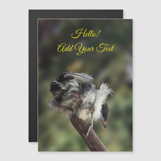 Tidi mijn vogel de Parus Major Magnetic Card (Voorkant / Achterkant)