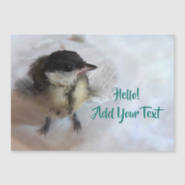 Tidi mijn vogel de Parus Major Magnetic Card
