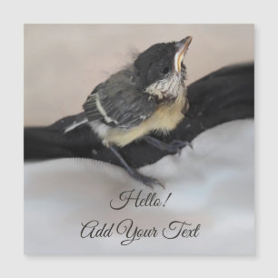 Tidi mijn vogel de Parus Major Magnetic Card