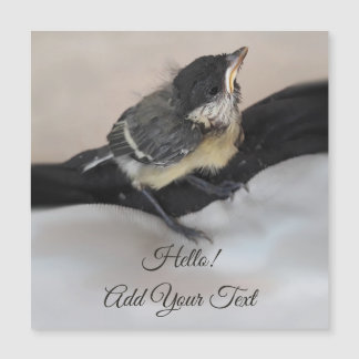 Tidi mijn vogel de Parus Major Magnetic Card