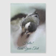 Tidi mijn vogel de Parus Major Magnetic Card