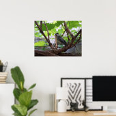 Tidi mijn vogel de Parus Major Poster (Thuiskantoor)