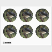 Tidi mijn vogel de Parus Major Ronde Sticker (Vel)