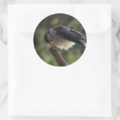 Tidi mijn vogel de Parus Major Ronde Sticker (Tas)