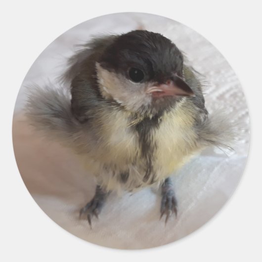 Tidi mijn vogel de Parus Major Ronde Sticker (Voorkant)