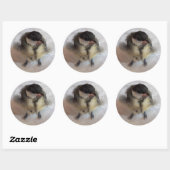 Tidi mijn vogel de Parus Major Ronde Sticker (Vel)