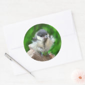 Tidi mijn vogel de Parus Major Ronde Sticker (Envelop)