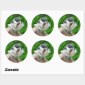 Tidi mijn vogel de Parus Major Ronde Sticker (Vel)