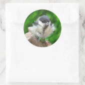 Tidi mijn vogel de Parus Major Ronde Sticker (Tas)