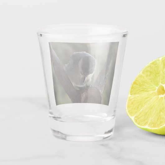 Tidi mijn vogel de Parus Major Shot Glas (Achterkant)