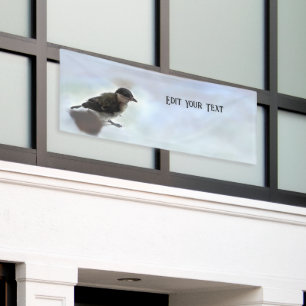 Tidi mijn vogel de Parus Major Spandoek
