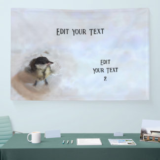 Tidi mijn vogel de Parus Major Spandoek