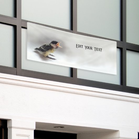 Tidi mijn vogel de Parus Major Spandoek (Buitenkant Gebouw)