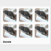 Tidi mijn vogel de Parus Major Vierkante Sticker (Vel)