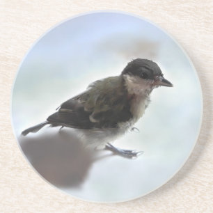 Tidi mijn vogel de Parus Major Zandsteen Onderzetter