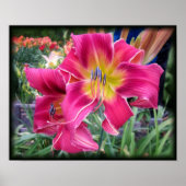 Tie Dye Daylily Poster (Voorkant)