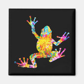 TIE DYE FROG MAGNEET (Voorkant)