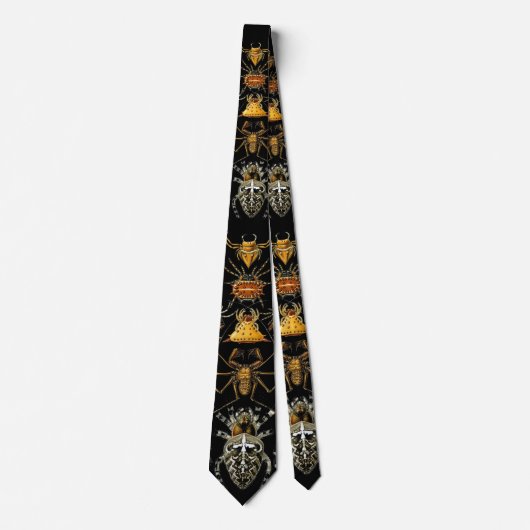Tie Vintage Kunstenaar Ernst Haeckel Spinnen Stropdas (Voorkant)