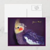 Tiel Briefkaarten (Voorkant / Achterkant)