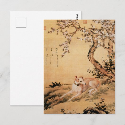 Tien gewaardeerde honden - Shanxing Wolf (Chinese  Briefkaart (Voorkant / Achterkant)
