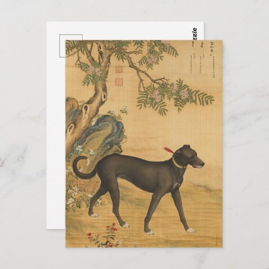 Tien gewaardeerde honden - Xuezhualu (Chinese wind Briefkaart (Voorkant / Achterkant)