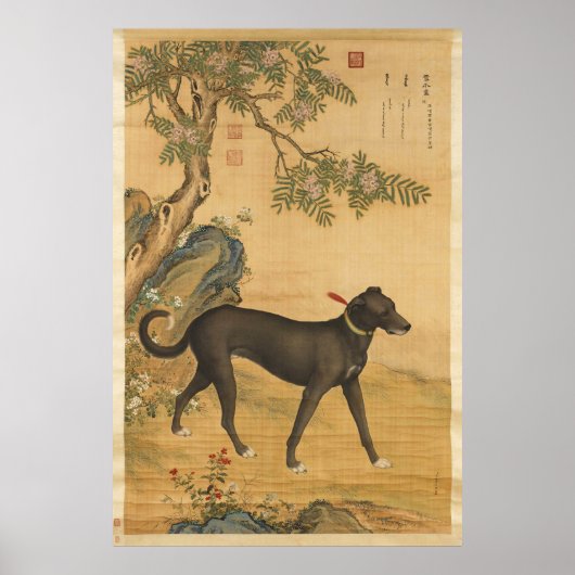 Tien gewaardeerde honden - Xuezhualu (Chinese wind Poster (Voorkant)