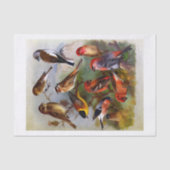 Tien prachtige vogelschilderingen uit het  boek tissuepapier (Voorkant)