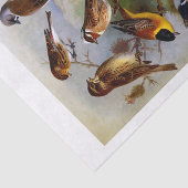 Tien prachtige vogelschilderingen uit het  boek tissuepapier (Detail)