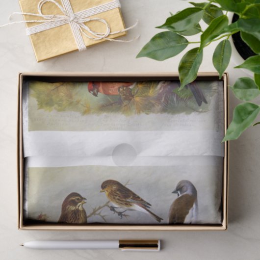 Tien prachtige vogelschilderingen uit het  boek tissuepapier (Geschenk)