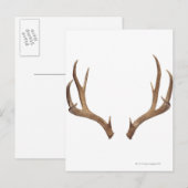 Tien puntsdieper briefkaart (Voorkant / Achterkant)