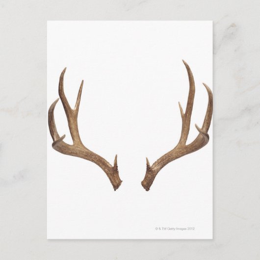 Tien puntsdieper briefkaart (Voorkant)