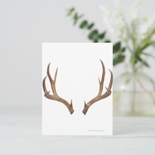 Tien puntsdieper briefkaart (Staand voorkant)