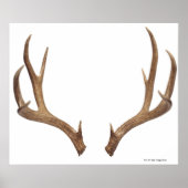 Tien puntsdieper poster (Voorkant)