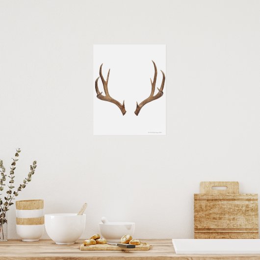 Tien puntsdieper poster (Keuken)