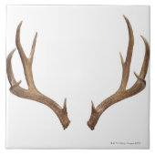 Tien puntsdieper tegeltje (Voorkant)