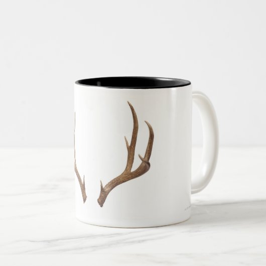 Tien puntsdieper tweekleurige koffiemok (Voorkant rechts)