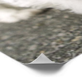 Tien weken oud vrouw op de westelijke hoogvlakte poster (Hoek)