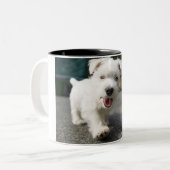 Tien weken oud vrouw op de westelijke hoogvlakte tweekleurige koffiemok (Voorkant links)