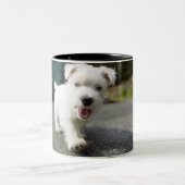 Tien weken oud vrouw op de westelijke hoogvlakte tweekleurige koffiemok (Center)