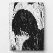 tiener schaduw fotoplaat (voorkant)