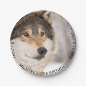 Tienerjongen van het 13e-jarig Wolf Papieren Bordje (Voorkant)