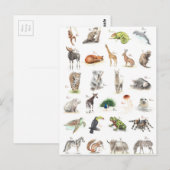 Tier ABC Briefkaart (Voorkant / Achterkant)