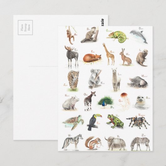 Tier ABC Briefkaart (Voorkant / Achterkant)