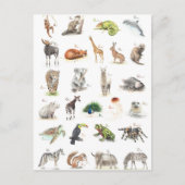 Tier ABC Briefkaart (Voorkant)