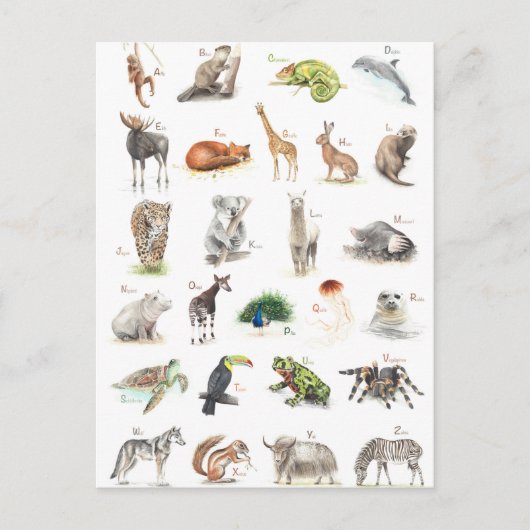 Tier ABC Briefkaart (Voorkant)