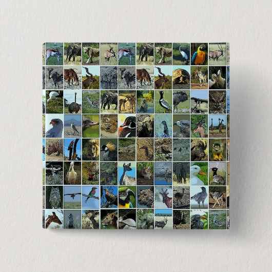 Tiere der Welt Vierkante Button 5,1 Cm (Voorkant)