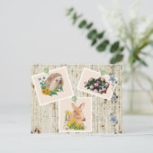 Tiere im Busch Briefkaart (Staand voorkant)