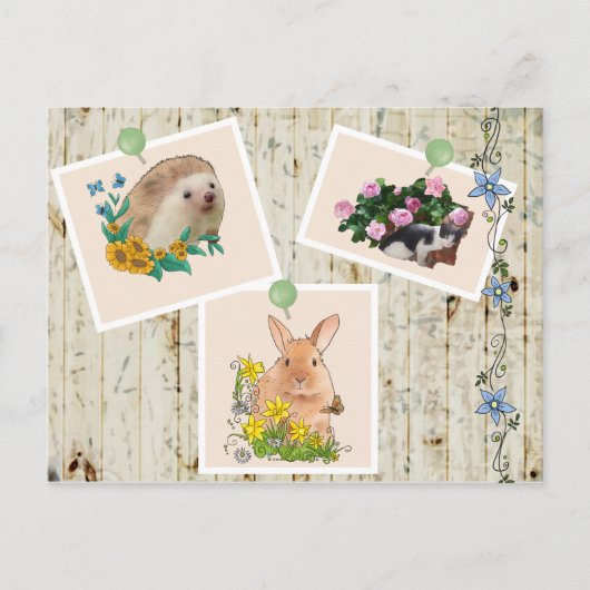 Tiere im Busch Briefkaart (Voorkant)