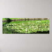 Tiergarten Water Lillies Poster (Voorkant)